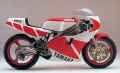 TZ250S.jpg (33640 Byte)