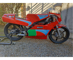 MAXTON-ROTAX 250