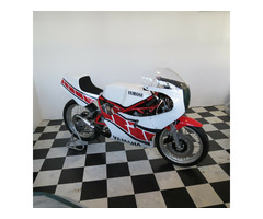 Yamaha TZ 250 N