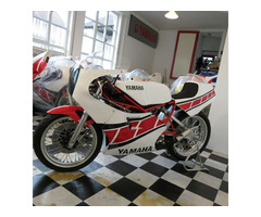 Yamaha TZ 250 N