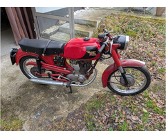 Morini 100