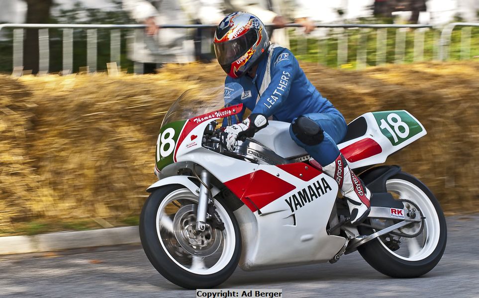 Thomas Wittig, Yamaha TZ 250 W
