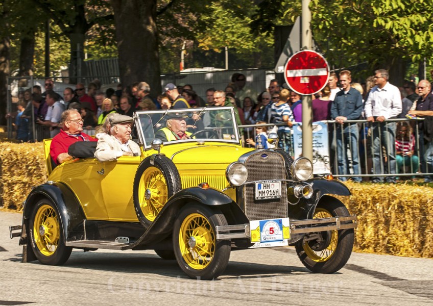 Hamburger Stadtpark-Revival 2012
